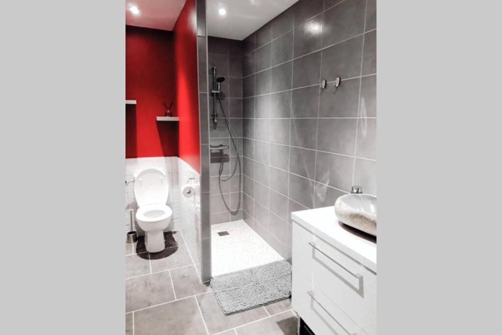 Logement Proche Saint Dizier Et Lac Du Der Chancenay Zewnętrze zdjęcie